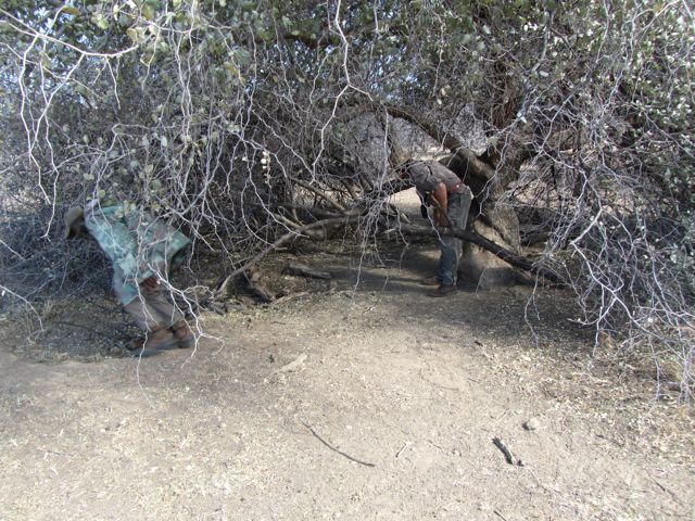 A blind we created near a waterhole to observe animals