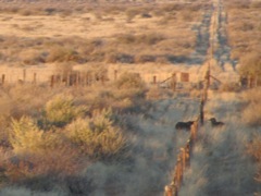 Crossing the fenceline