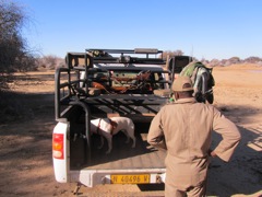 Elaine's truck with Snip and Martin.