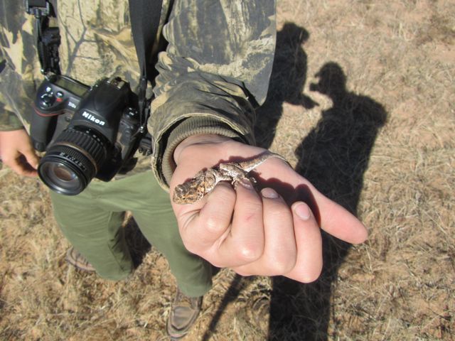 Matt holds a lizard