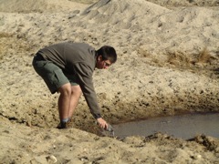 Matt uses one of my killed birds as as decoy by the water.  Works well.