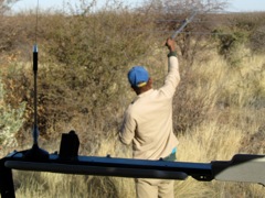 Looking for the Elephants.  They have a radio collar, so the guide can find them.