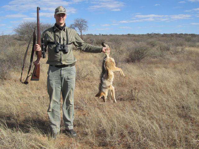 Jackals are vermin and are eliminated when found.  This one was part of a group feasting on a Hartebeest that had become trapped in a fence.