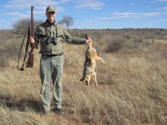 Jackals are vermin and are eliminated when found.  This one was part of a group feasting on a Hartebeest that had become trapped in a fence.