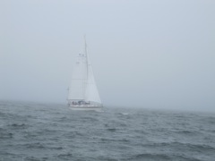 We ran through a fleet of sailboats in the fog on our return trip.