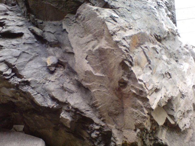 photo2.jpg