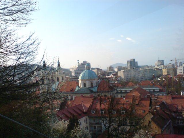 photo26.jpg