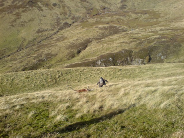 dsc09044.jpg