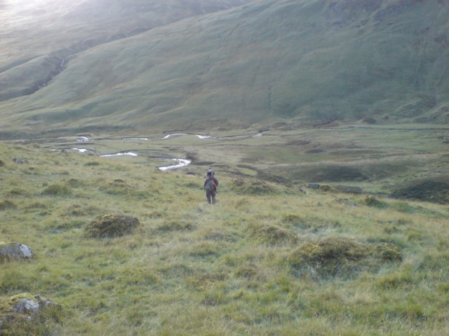 dsc09049.jpg