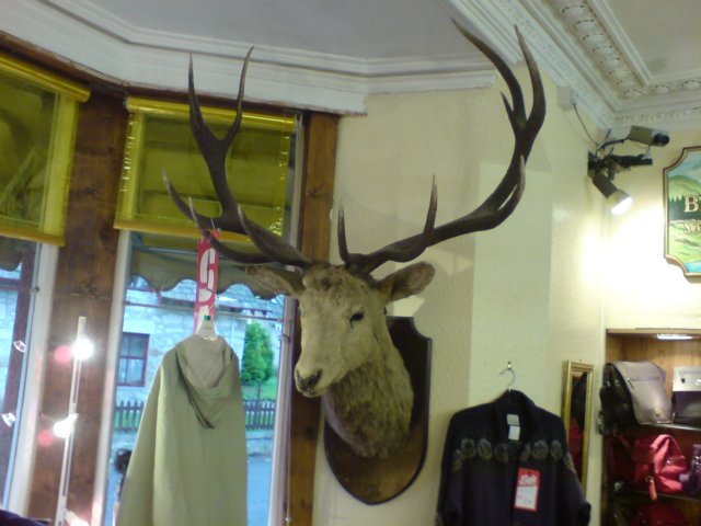 dsc09159.jpg