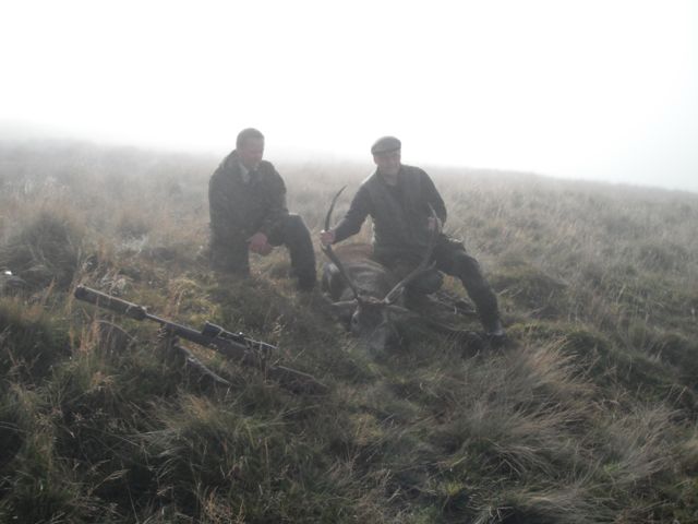 Bernd took a cery nice stag.  He waited a long time for it to stand up, and in the fog it was less than 50 meters away.  A good clean shot ensured that it did not run off and get lost.  Patience pays off!