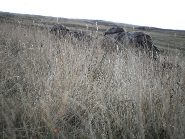 Dieter & Peter stalk a beast that just came over the hill, 400 yards away.  He was a welcome surprise...