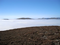 Nothing but fog below, shrouding the hills, hiding the stags.