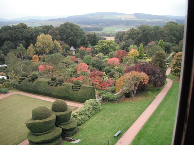 A view from the tower