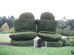 Topiary