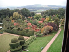 A view from the tower