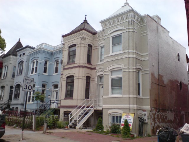 paintedladies2.jpg