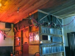 Nice trophy Pronghorn, historic cartridges and bottles