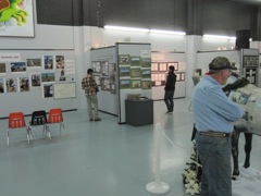 Exhibits