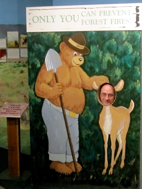 Only I can prevent forest fires.