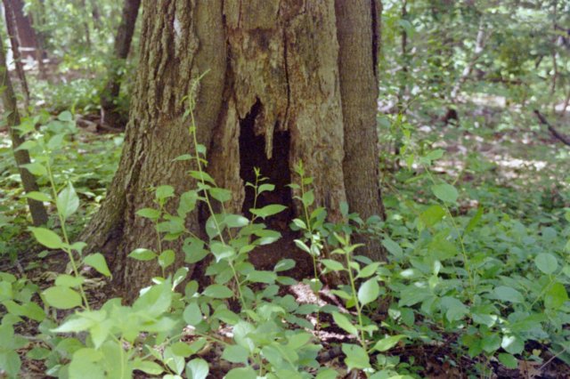 photo17.jpg