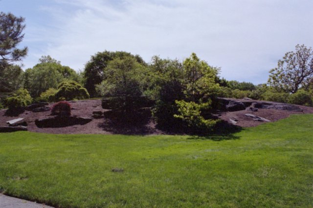 photo18.jpg