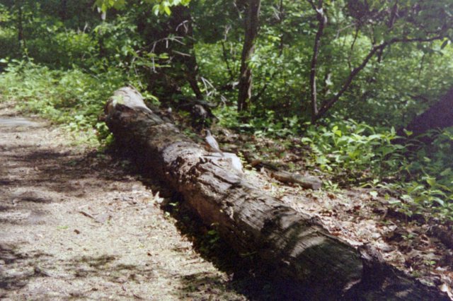 photo23.jpg