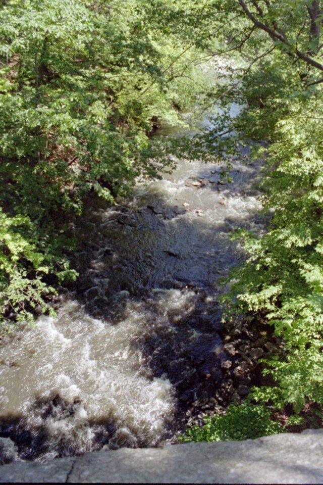 photo27.jpg