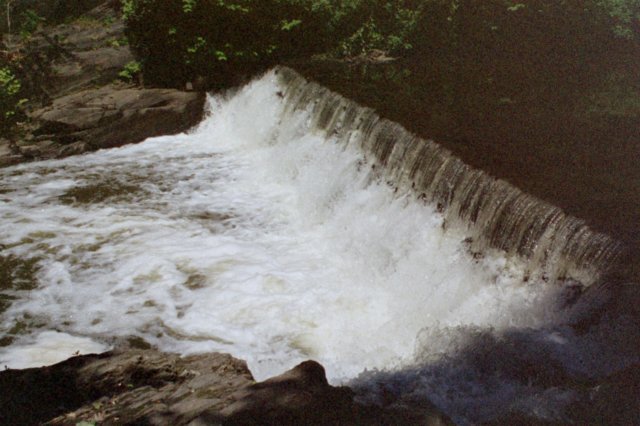 photo29.jpg