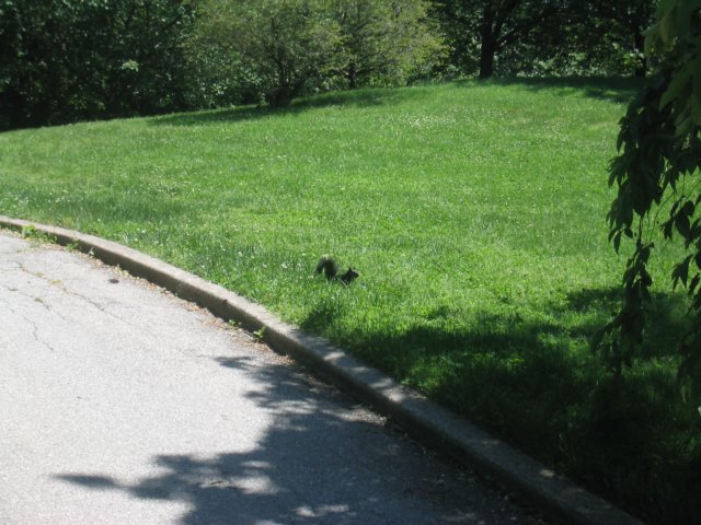 photo31.jpg