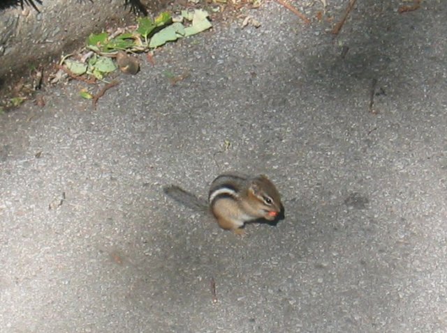 photo14.jpg