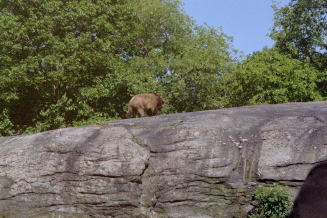 photo18.jpg