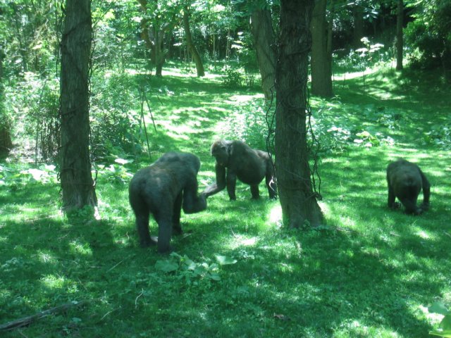 photo3.jpg