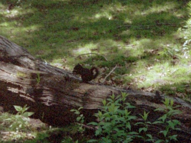 photo7.jpg