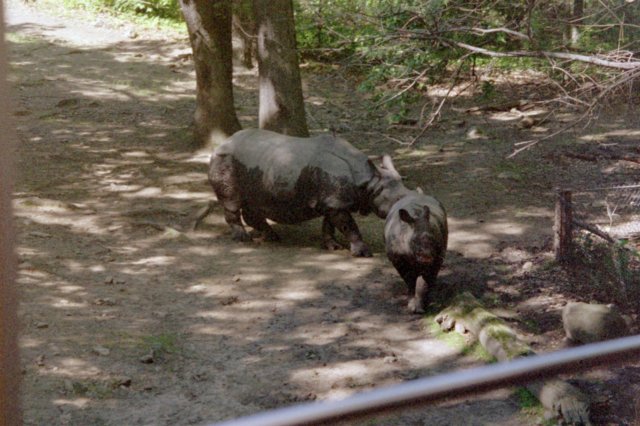 photo9.jpg