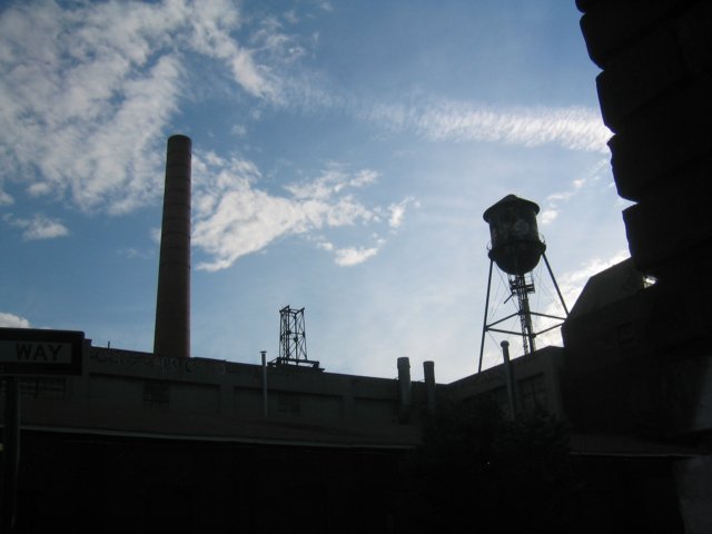 photo19.jpg