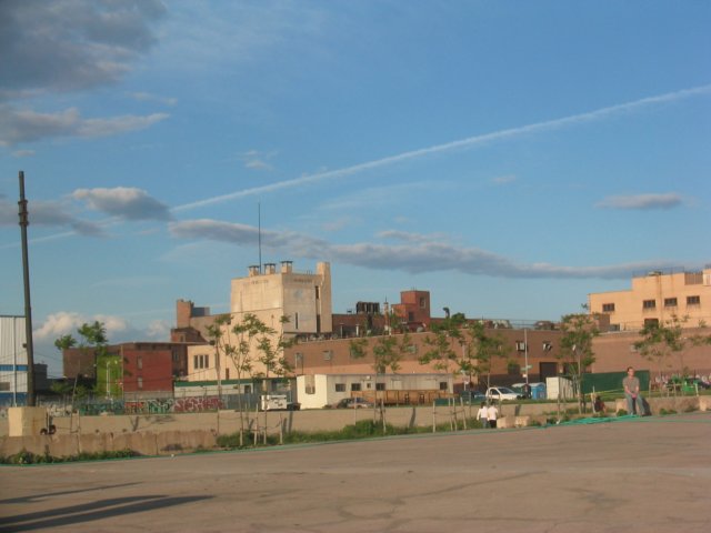 photo40.jpg