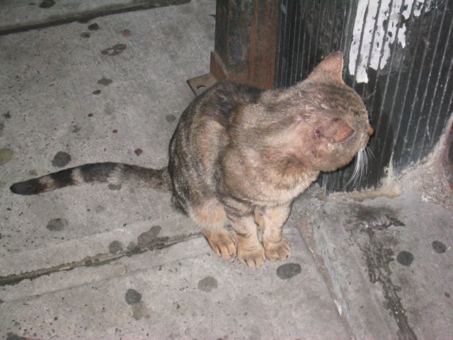 photo17.jpg