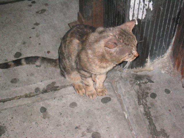 photo18.jpg