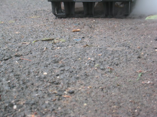 photo7.jpg