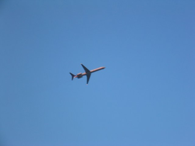 photo5.jpg