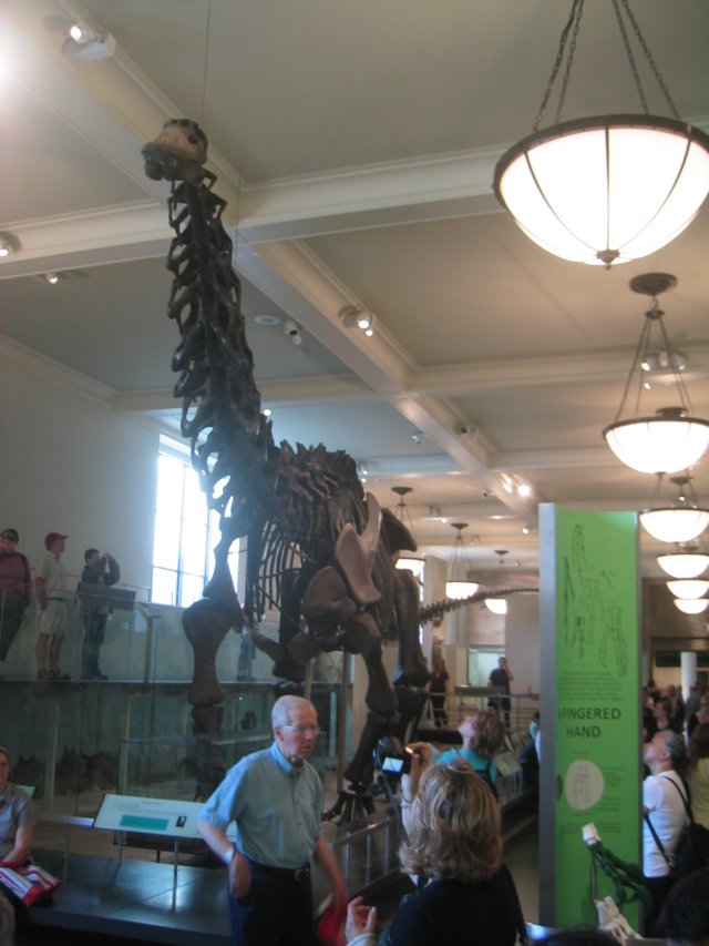 photo14.jpg