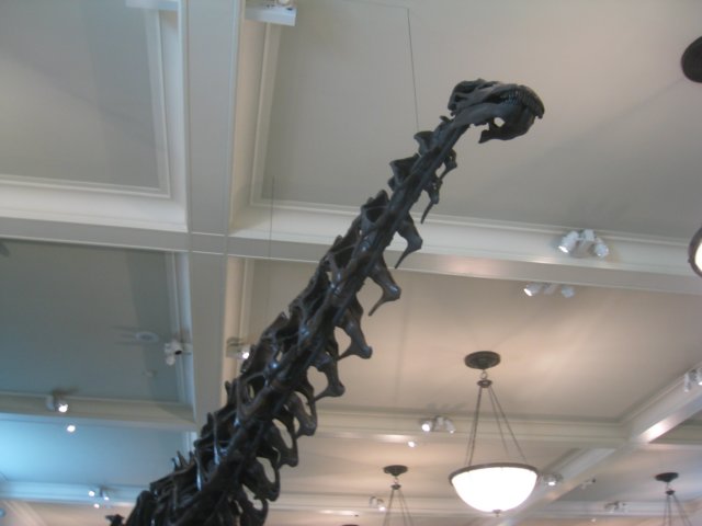 photo15.jpg