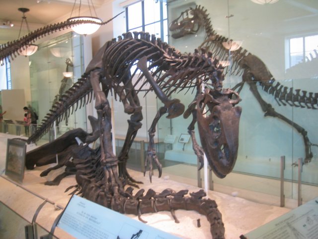 photo16.jpg