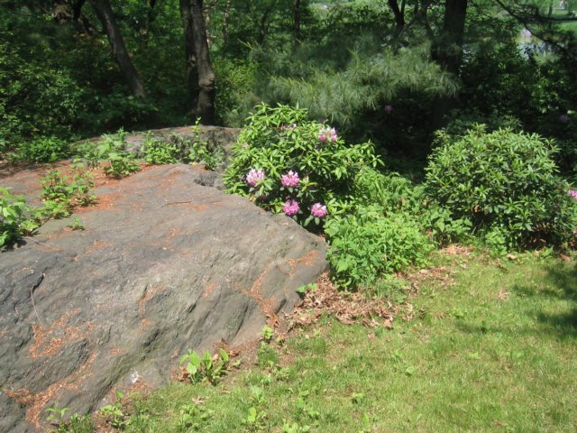 photo5.jpg