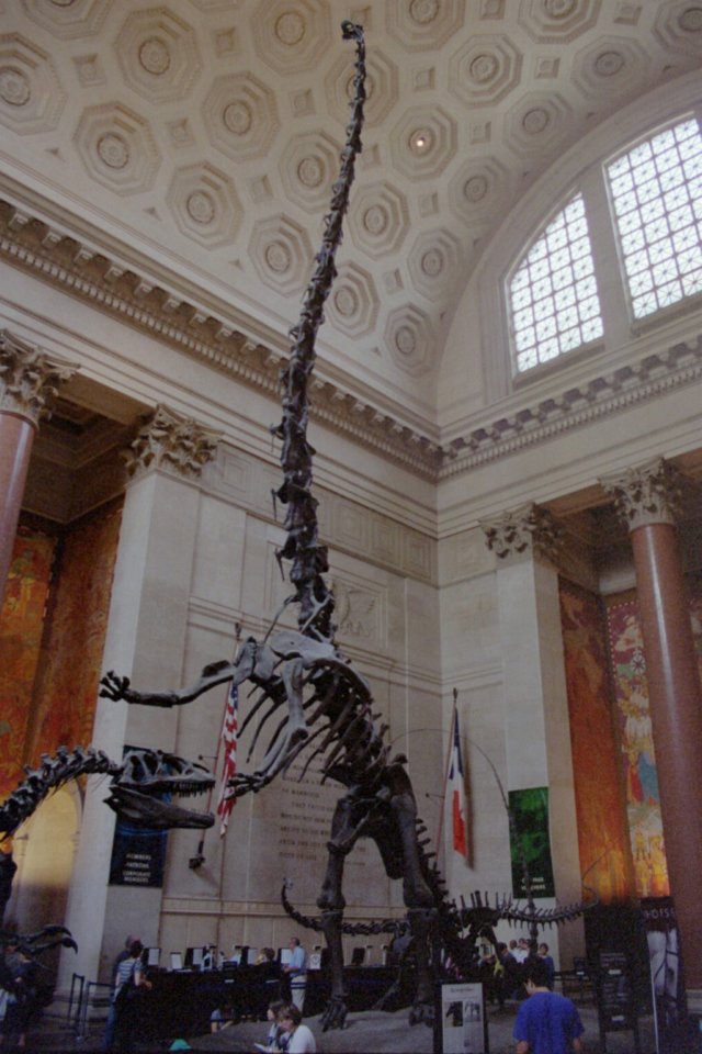 photo6.jpg